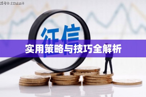 新埤实用策略与技巧全解析