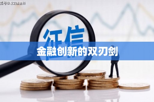 新埤金融创新的双刃剑