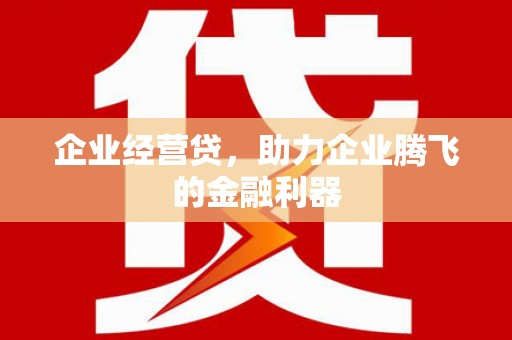 新埤企业经营贷，助力企业腾飞的金融利器
