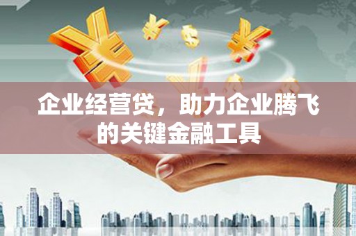 新埤企业经营贷，助力企业腾飞的关键金融工具