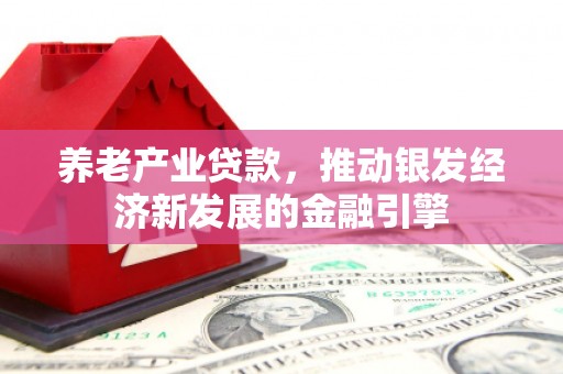 新埤养老产业贷款，推动银发经济新发展的金融引擎