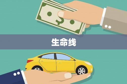 新埤生命线