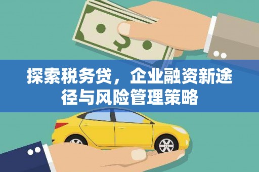 新埤探索税务贷，企业融资新途径与风险管理策略