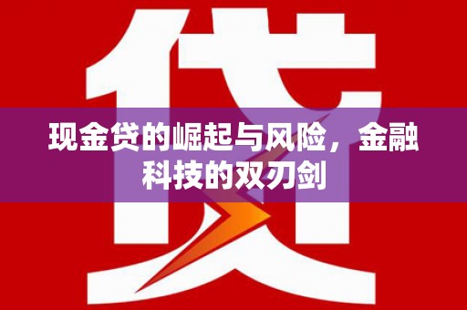 新埤现金贷的崛起与风险，金融科技的双刃剑