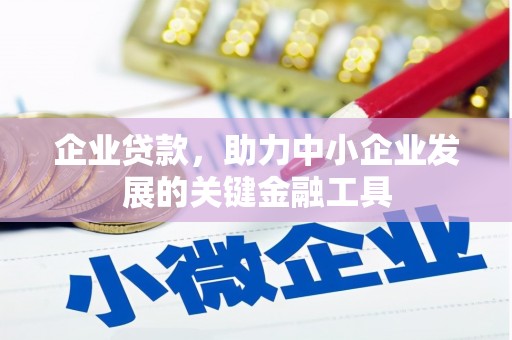 新埤企业贷款，助力中小企业发展的关键金融工具