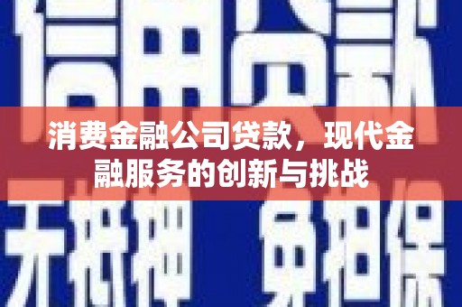 新埤消费金融公司贷款，现代金融服务的创新与挑战