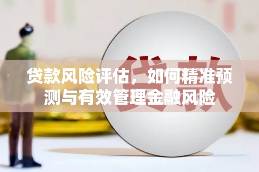 新埤贷款风险评估，如何精准预测与有效管理金融风险
