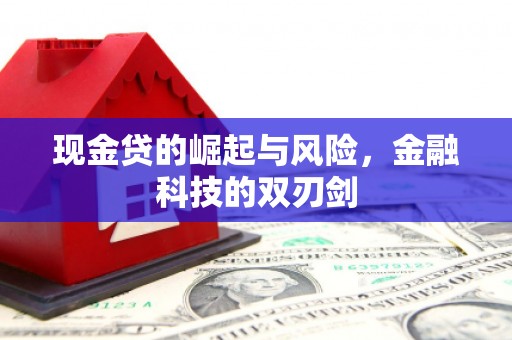 新埤现金贷的崛起与风险，金融科技的双刃剑