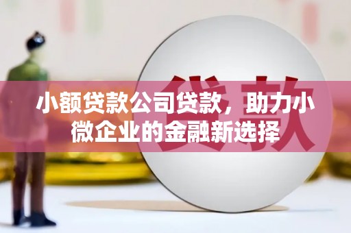 新埤小额贷款公司贷款，助力小微企业的金融新选择