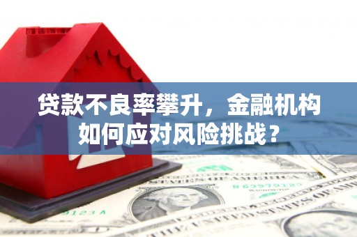 新埤贷款不良率攀升，金融机构如何应对风险挑战？