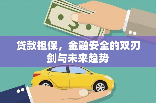 新埤贷款担保，金融安全的双刃剑与未来趋势