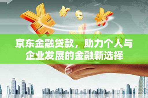 新埤京东金融贷款，助力个人与企业发展的金融新选择