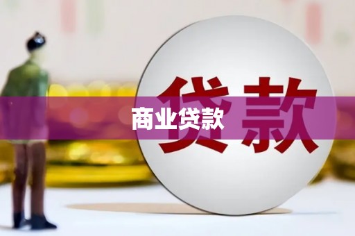 新埤商业贷款