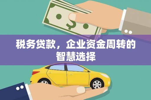 新埤税务贷款，企业资金周转的智慧选择