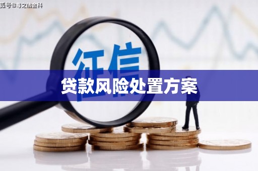 新埤贷款风险处置方案