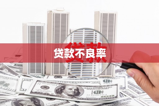 新埤贷款不良率