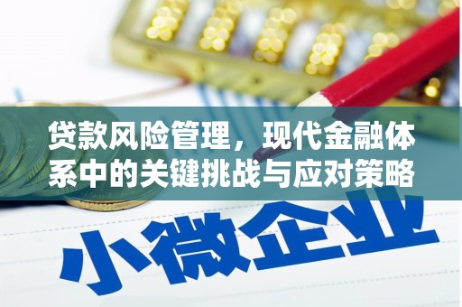 新埤贷款风险管理，现代金融体系中的关键挑战与应对策略