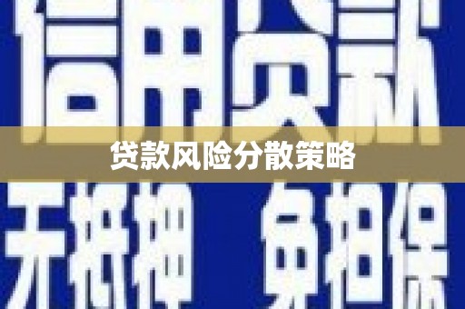 新埤贷款风险分散策略