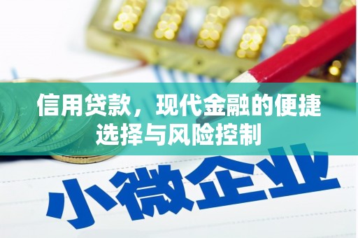 新埤信用贷款，现代金融的便捷选择与风险控制