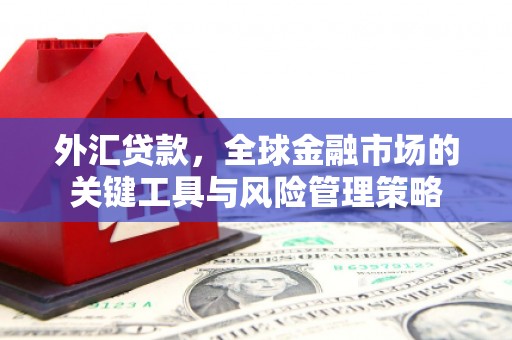 新埤外汇贷款，全球金融市场的关键工具与风险管理策略
