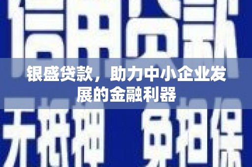 新埤银盛贷款，助力中小企业发展的金融利器
