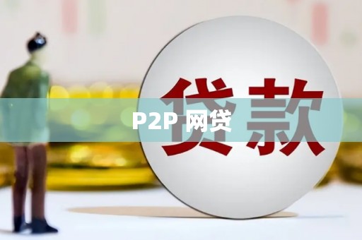 新埤P2P 网贷