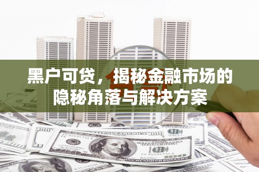 新埤黑户可贷，揭秘金融市场的隐秘角落与解决方案