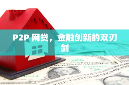 新埤P2P 网贷，金融创新的双刃剑