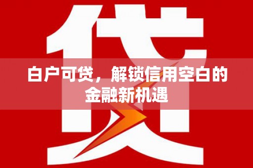 新埤白户可贷，解锁信用空白的金融新机遇