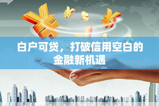 新埤白户可贷，打破信用空白的金融新机遇