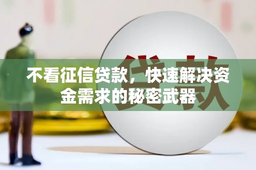 新埤不看征信贷款，快速解决资金需求的秘密武器