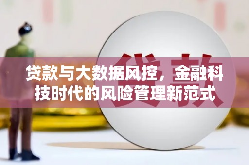 新埤贷款与大数据风控，金融科技时代的风险管理新范式