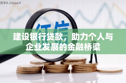 新埤建设银行贷款，助力个人与企业发展的金融桥梁