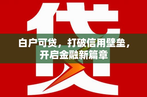 新埤白户可贷，打破信用壁垒，开启金融新篇章