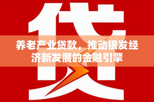 新埤养老产业贷款，推动银发经济新发展的金融引擎
