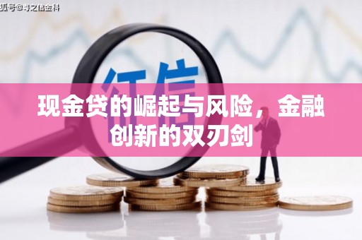 新埤现金贷的崛起与风险，金融创新的双刃剑