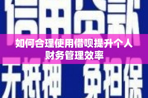 新埤如何合理使用借呗提升个人财务管理效率