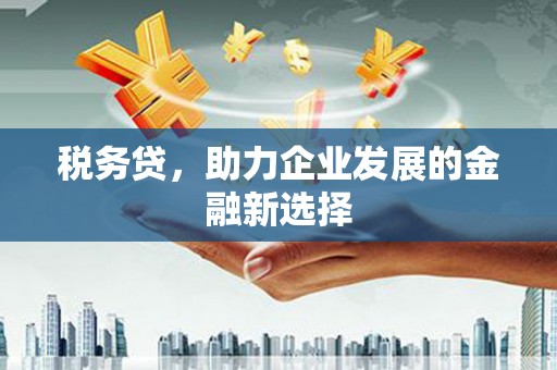 新埤税务贷，助力企业发展的金融新选择