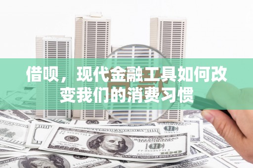 新埤借呗，现代金融工具如何改变我们的消费习惯