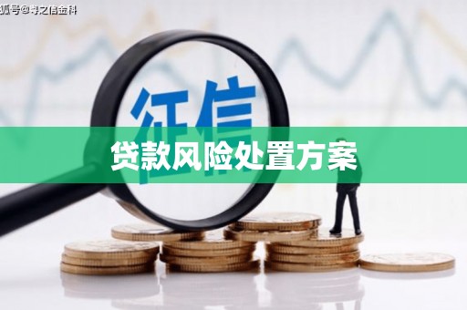 新埤贷款风险处置方案