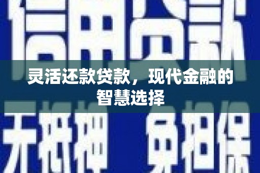 新埤灵活还款贷款，现代金融的智慧选择