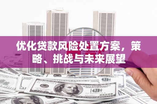 新埤优化贷款风险处置方案，策略、挑战与未来展望