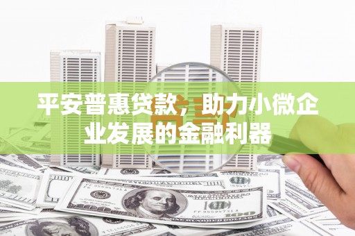 新埤平安普惠贷款，助力小微企业发展的金融利器