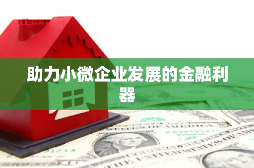 新埤助力小微企业发展的金融利器