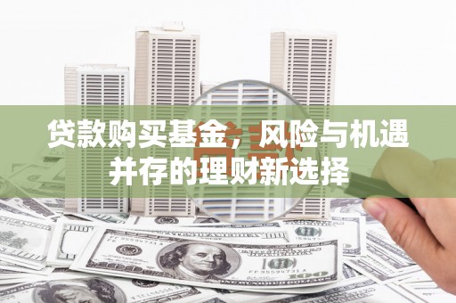 新埤贷款购买基金，风险与机遇并存的理财新选择
