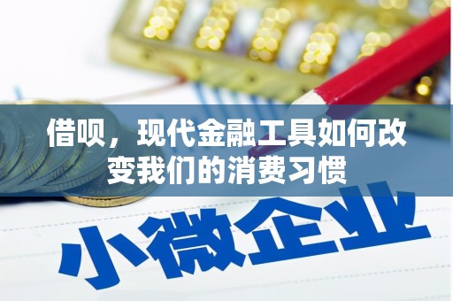 新埤借呗，现代金融工具如何改变我们的消费习惯