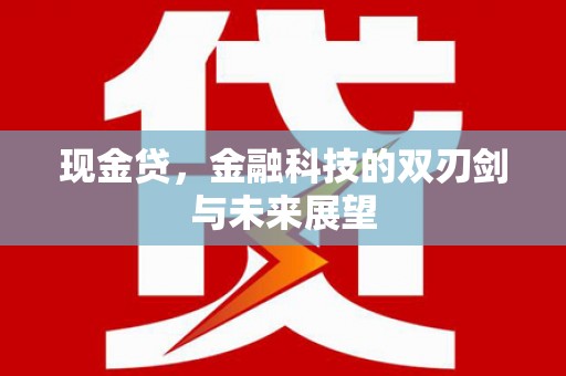 新埤现金贷，金融科技的双刃剑与未来展望
