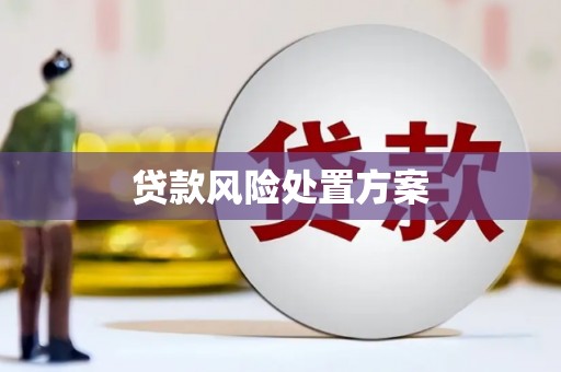 新埤贷款风险处置方案