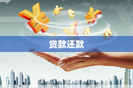 新埤贷款还款