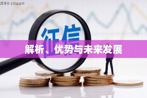 新埤解析、优势与未来发展